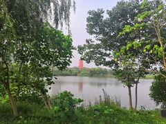 -艾溪湖湿地公园