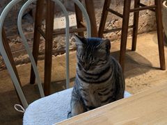 -青莯_Percher Coffee Shop(皮市街店)