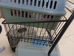 -北京观赏动物医院·24小时大型综合·猫专科·异宠专科