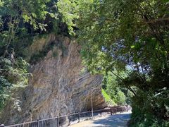 -少华山国家森林公园