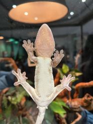 -Zoolung Zoolung动物主题公园(海信广场店)