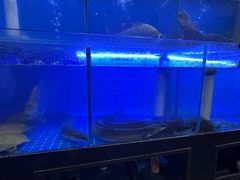 -状元楼(金溪路店)