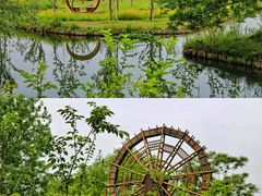 -溱湖国家湿地公园