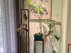 -王府茶宴·创意菜(大观园总店)
