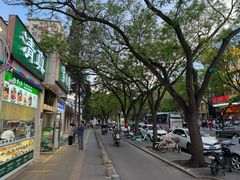 -紫光园·烤鸭·北京菜(团结湖店)