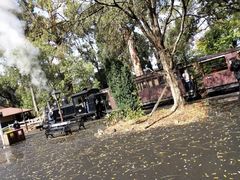 -普芬比利蒸汽火车