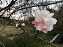 -盒马鲜生(王府广场店)