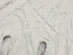 -哈尔滨热雪奇迹