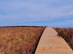 -白草畔自然风景区