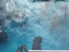 -金泽21世纪美术馆