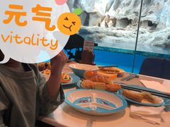 -帝企鹅自助餐厅•儿童岛•真企鹅(长隆企鹅酒店)