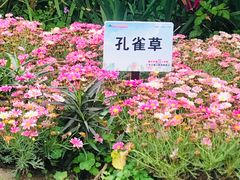 -广东天露山旅游度假区