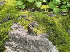 -茅兰沟国家森林公园