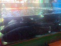 -好灶头妈妈菜·柴火灶台鱼·千岛湖土菜地标美食