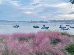 -海源公园