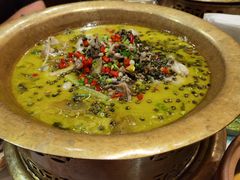 跳跳蛙-食家鸽园