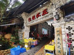 -桃姐农庄老字号(从化温泉店)