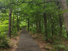 -敬亭山风景名胜区