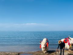 -青海湖国家重点风景名胜区