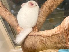 -龙猫仔乐园(惠福东路店)