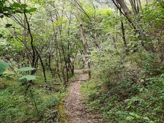-少华山国家森林公园