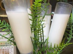 -探窝·竹笙椰子鸡(杨箕店)