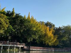 -桂林两江四湖景区