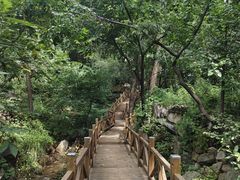 -大岭沟猕猴桃谷风景区