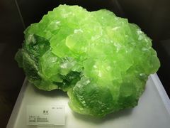 -湖南省地质博物馆