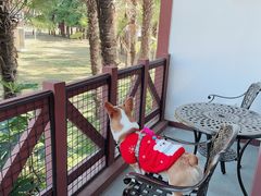 -太阳岛度假酒店