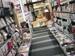 -台场海滨公园船码头