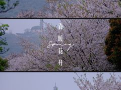 -苏州上方山国家森林公园