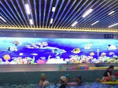 -水贝乐国际水育儿童游泳中心(新业广场店)