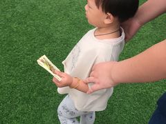 -自然谷恐龙园