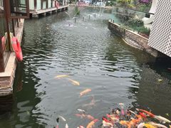 -西江印象酒楼