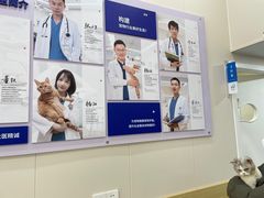 -芭比堂动物医院·CT·微创中心(新顺分院)