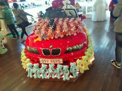 -济州岛泰迪熊博物馆