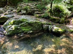 -本溪汤沟绿石谷森林公园