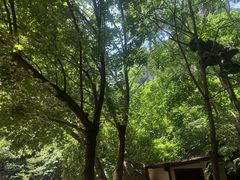 -云丘山景区