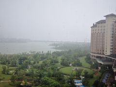 -九龙湖公园