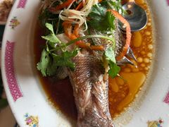 -吴系粤菜馆·茶餐厅(深业上城店)