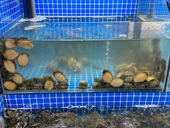 -星记小馆·小蓝龙·老南京砂锅菜(上海路店)