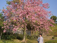 -东莞植物园