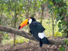 -泉州海丝野生动物世界