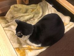 -猫的天空之城概念书店(杭州南宋御街店)