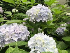 -苏州香山国际大酒店