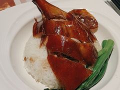原只鹅肶饭-添饭茶餐厅(天悦龙庭店)