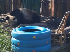 -大连森林动物园