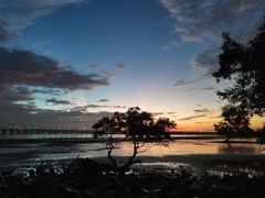 -宝安西湾红树林湿地公园
