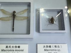 -上海昆虫博物馆